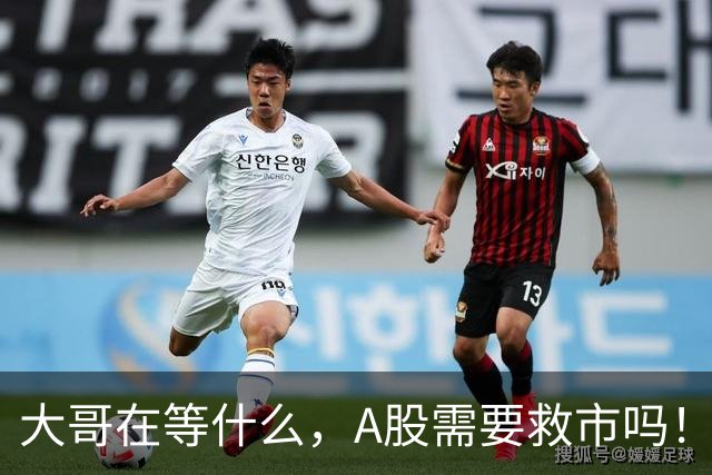 大哥在等什么，A股需要救市吗！